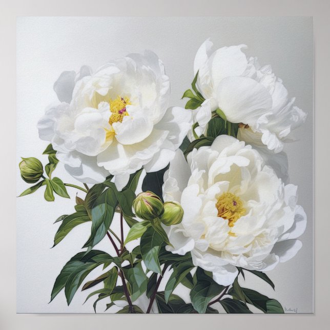 White Peonies Flower Art Imprimer Poster (Devant)