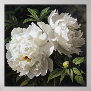 White Peonies Flower Art Imprimer Poster