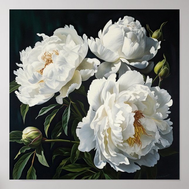 White Peonies Flower Art Imprimer Poster (Devant)