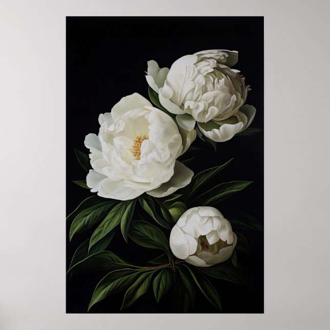 White Peonies Flower Art Imprimer Poster (Devant)