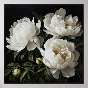 White Peonies Flower Art Imprimer Poster