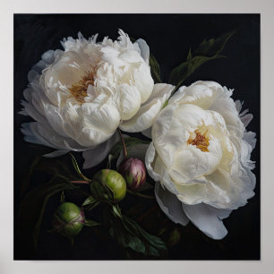 White Peony Flowers Art Imprimer Poster
