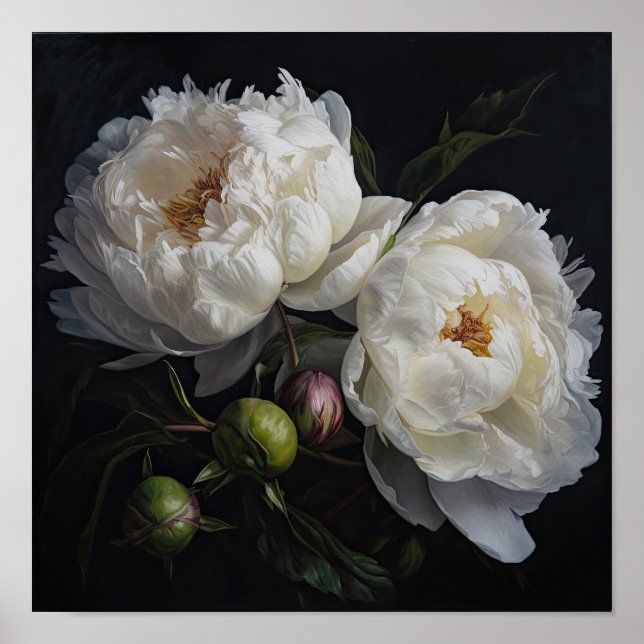 White Peony Flowers Art Imprimer Poster (Devant)