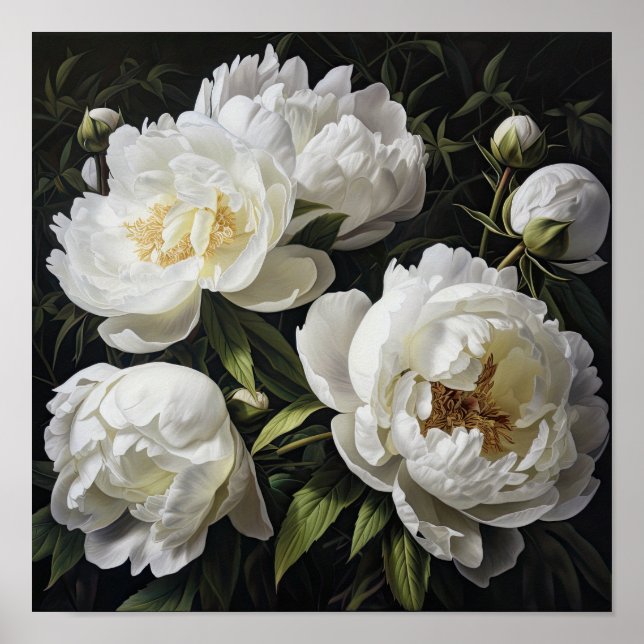 White Peony Flowers Art Imprimer Poster