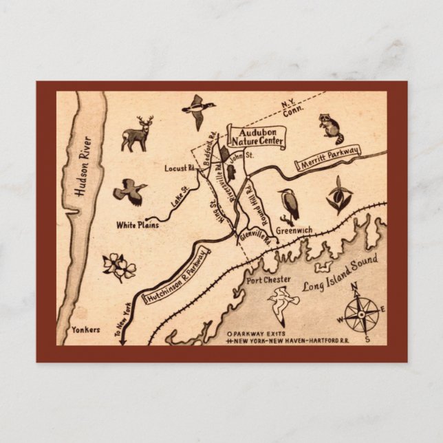 White Plains NY Carte Postale Ancienne  (Devant)