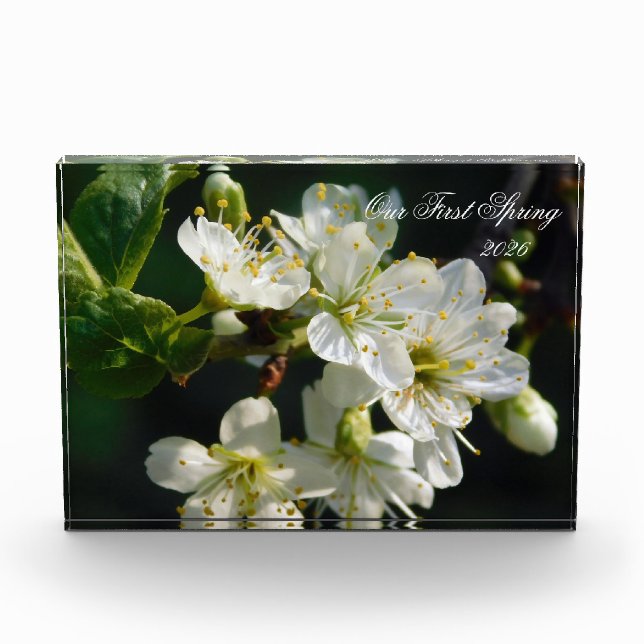 White Plum Blossom Macro | Personalized Photo Bloc (Devant)