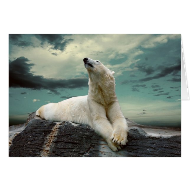 White Polar Bear (Devant horizontal)