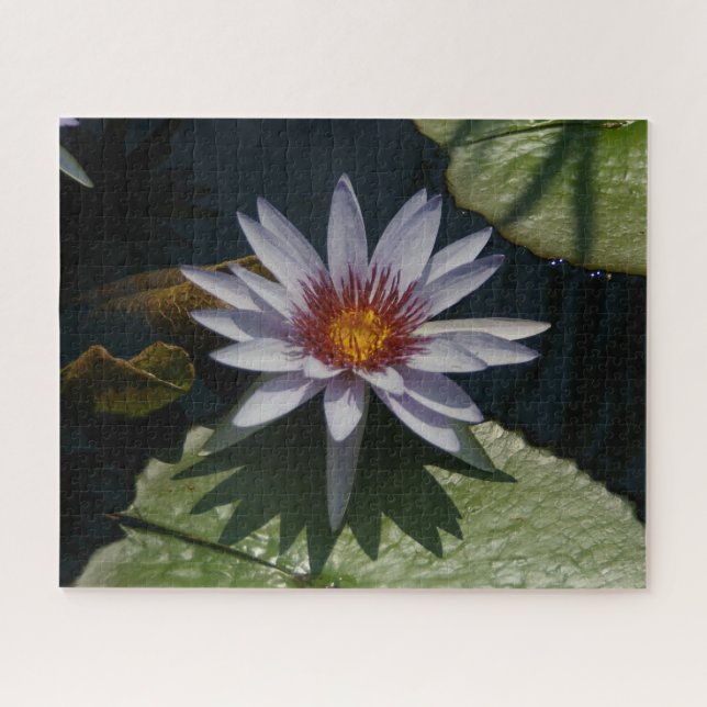 White Purple Waterlilies Jigsaw Puzzle (Horizontal)