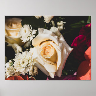 White Rose Photography Poster