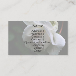 White Rosebud Raindrops Carte de visite Floral