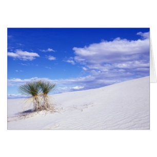 White Sands NM, Nouveau-Mexique, États-Unis