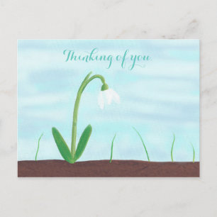 White Snowdrop Flower Penser à vous Cartes postale
