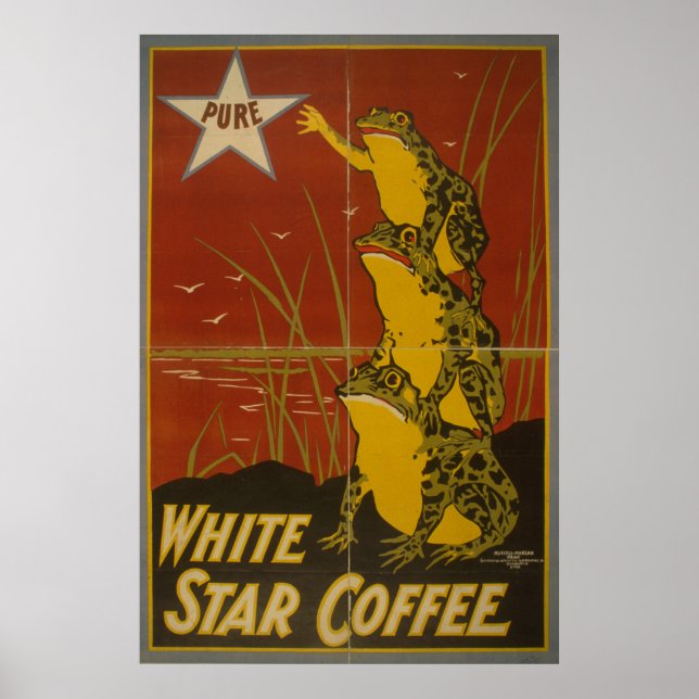 White Star Coffee Vintage Frog Poster  (Devant)