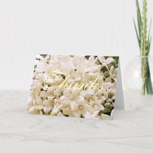 White Stephanotis Floral Merci Notes