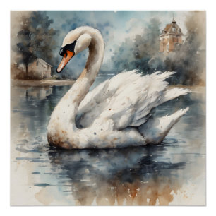 White Swan no 5 Glossy Poster
