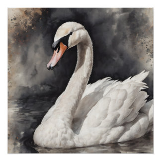 White Swan no 67 Poster brillant