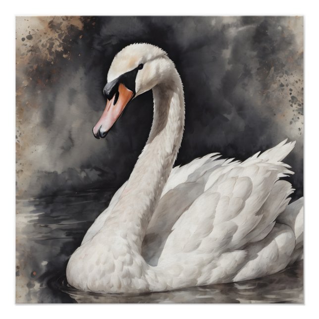 White Swan no 67 Poster brillant (Devant)