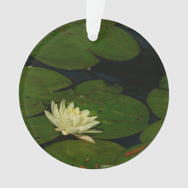 White Waterlily I Peaceful (devant)