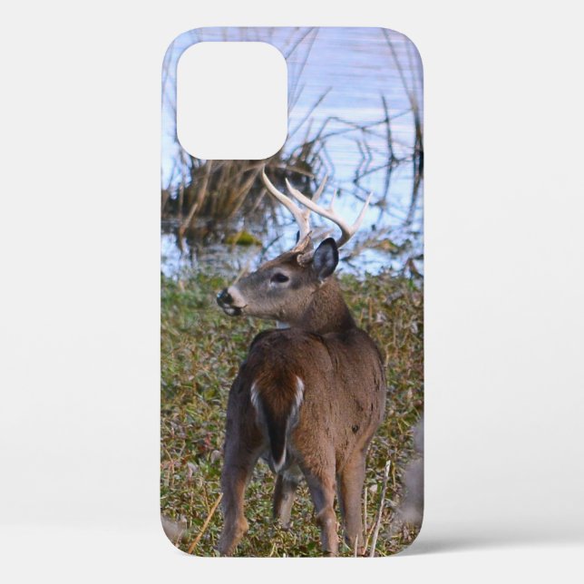 Whitetail Buck iPhone / coque ipad (Verso)