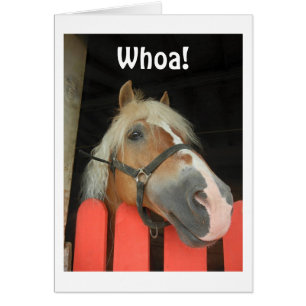 'WHOA DIT LE CHEVAL' EN TÊTE POUR LE GROS "50"