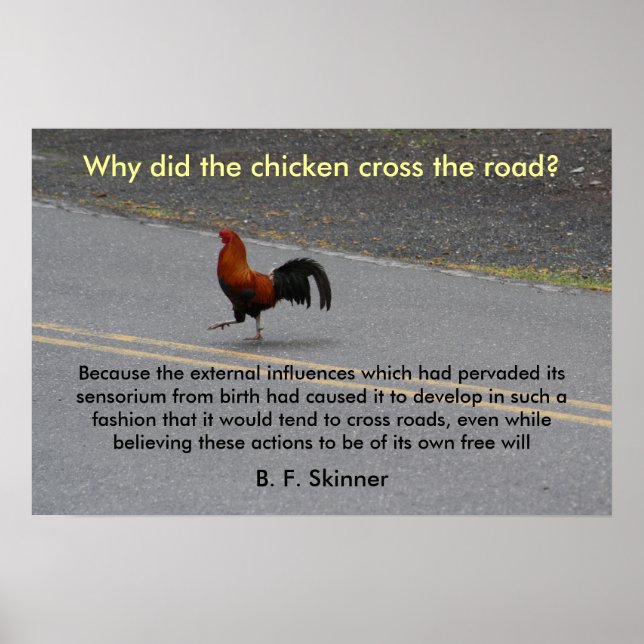 Why Did The Chicken Cross? - poster (Devant)