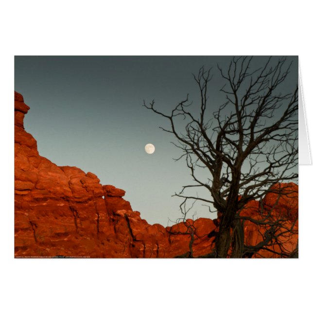 Wicked Moon (Devant horizontal)