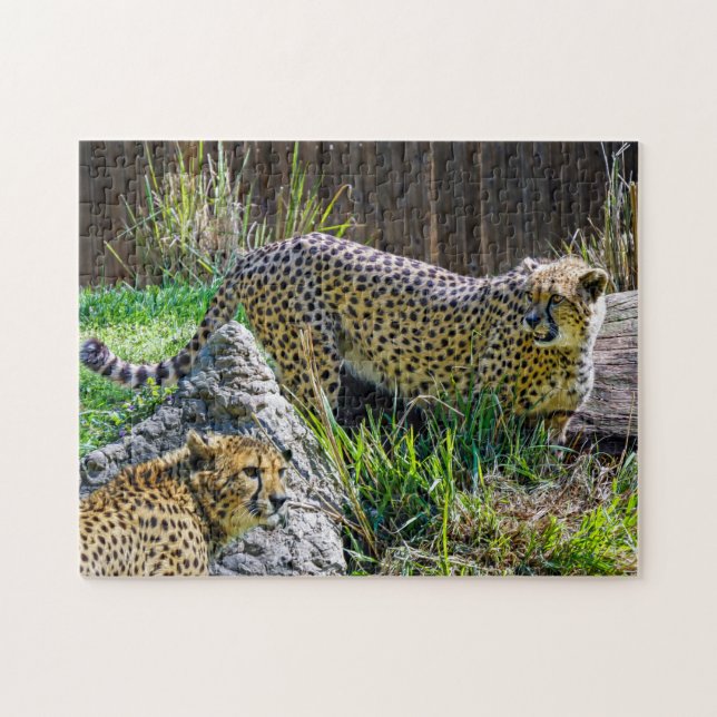 Wild Cheetah Toy Jigsaw Puzzle (Horizontal)