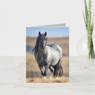 Wild Horse Bleu Zeus vient Fermer Carte de voeux