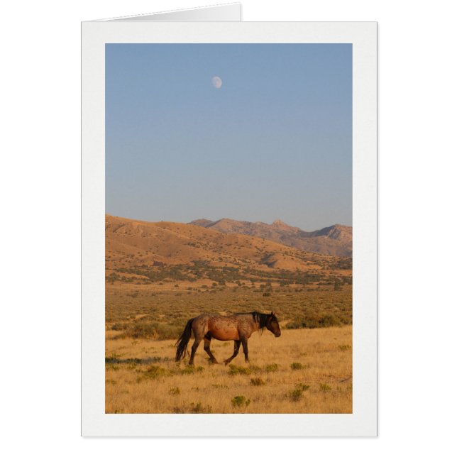WILD HORSE MARCHE AVEC LE NOUVEAU CARTE POUR NOTES (Devant)