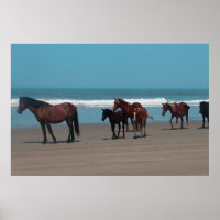 Wild Horses Poster