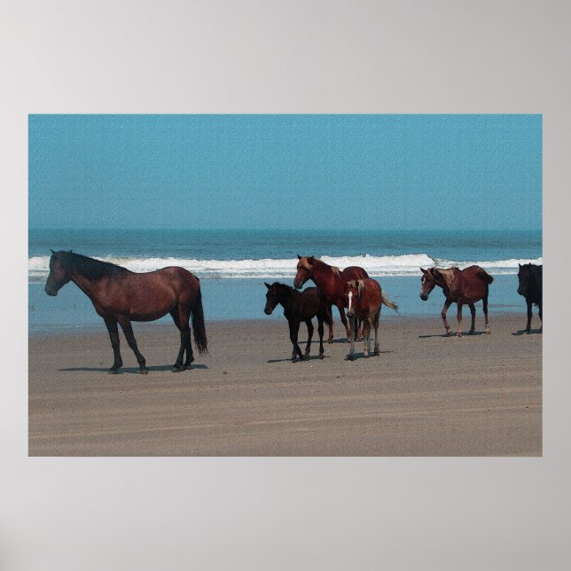 Wild Horses Poster (Devant)