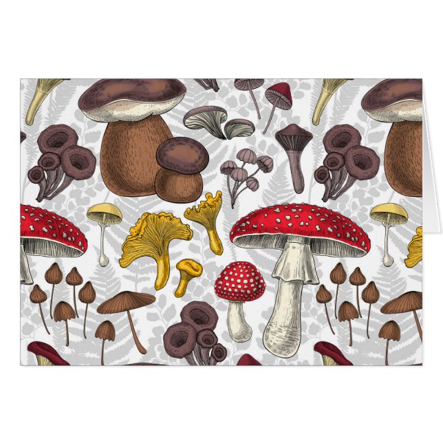 Wild mushrooms (Devant horizontal)