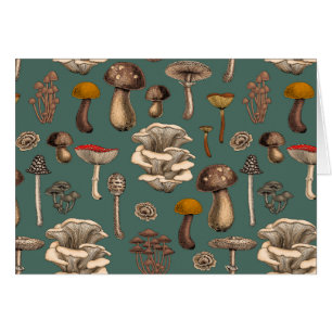 Wild Mushrooms