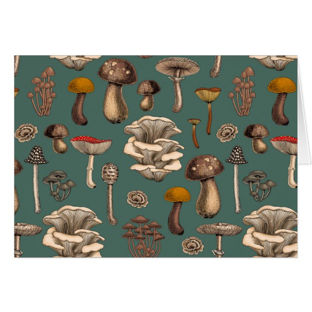 Wild Mushrooms (Devant horizontal)