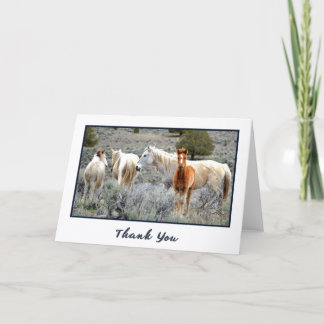 Wild Mustang Herd Photo Carte de remerciements