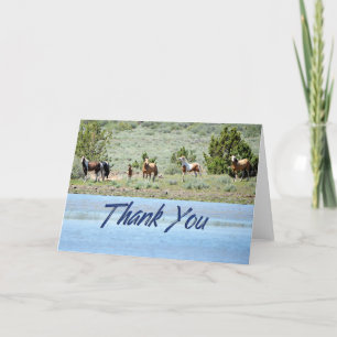 Wild Mustang Herd Photo Carte de remerciements