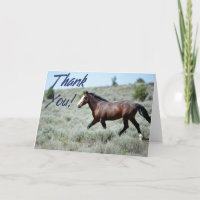 Wild Mustang Photo Carte de remerciements