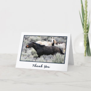Wild Mustangs Photo Merci Cartes