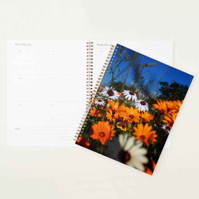 Wild Namaqualand fleurs florales (Devant avec enveloppe)