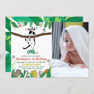 Wild One Tuxedo Kitty Enfants 1er Invitation anniv