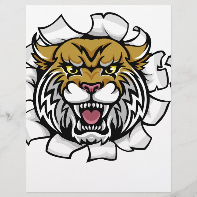 Wildcat Holding Cricket Ball Breaking Arrière - pl (Devant)