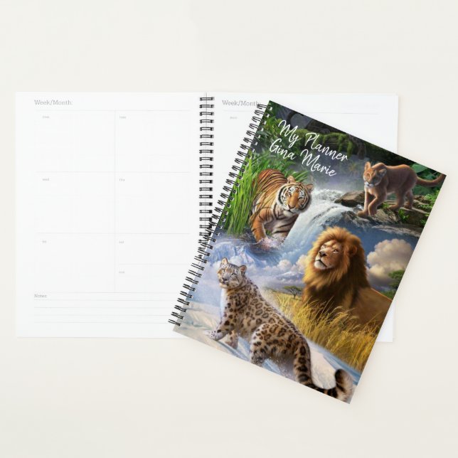 Wildcats (Devant avec enveloppe)