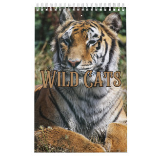Wildcats Showcase Collection Wall Calendrier