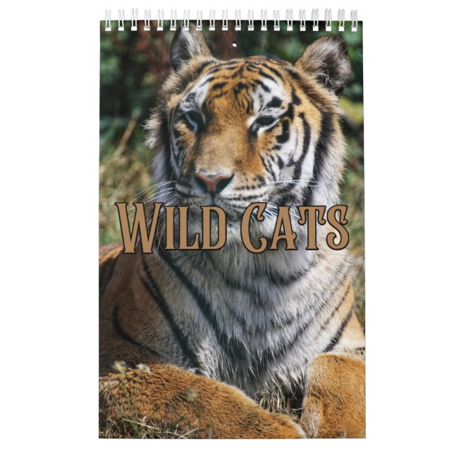 Wildcats Showcase Collection Wall Calendrier (Protection)