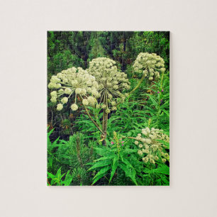 Wilderness, Nature, Puzzle Plante de la photograph