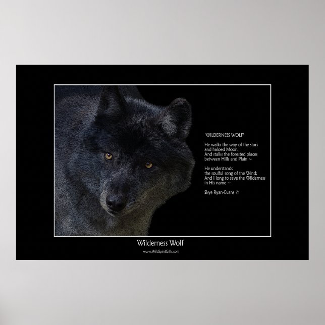 WILDERNESS WOLF Poster w poem (Devant)