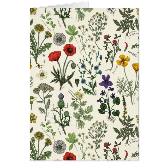 Wildflowers collage (Devant)