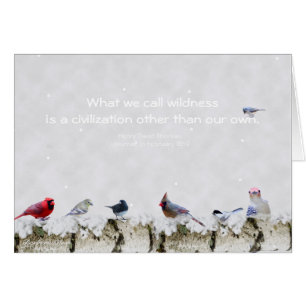 Wildness : une civilisation autre que notre