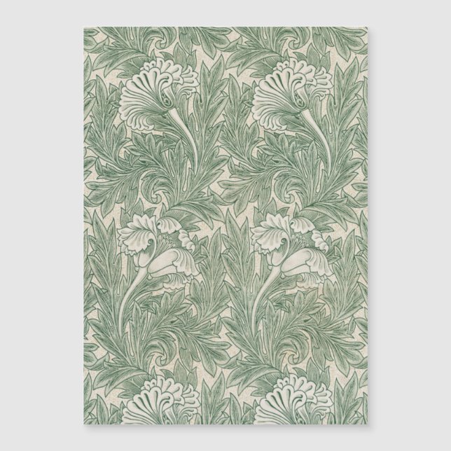 William Morris Vert Sauge Motif Tulipe : Vintage (Devant)