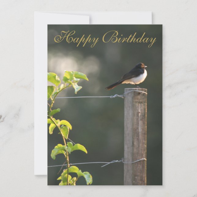 Willie Wagtail Joyeux anniversaire (Devant)